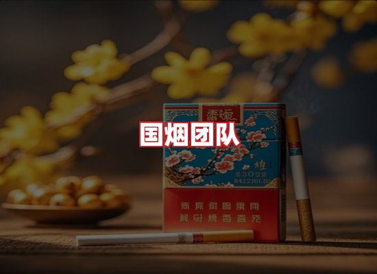 国烟团队